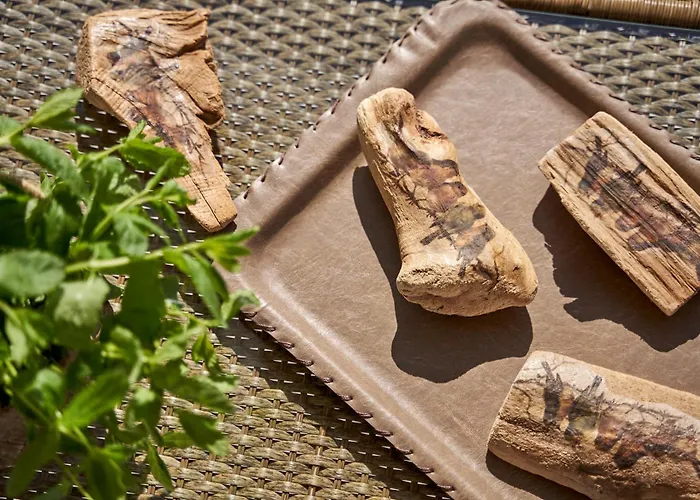 Casa Tagoo Mykonos Ξενοδοχείο Tagou